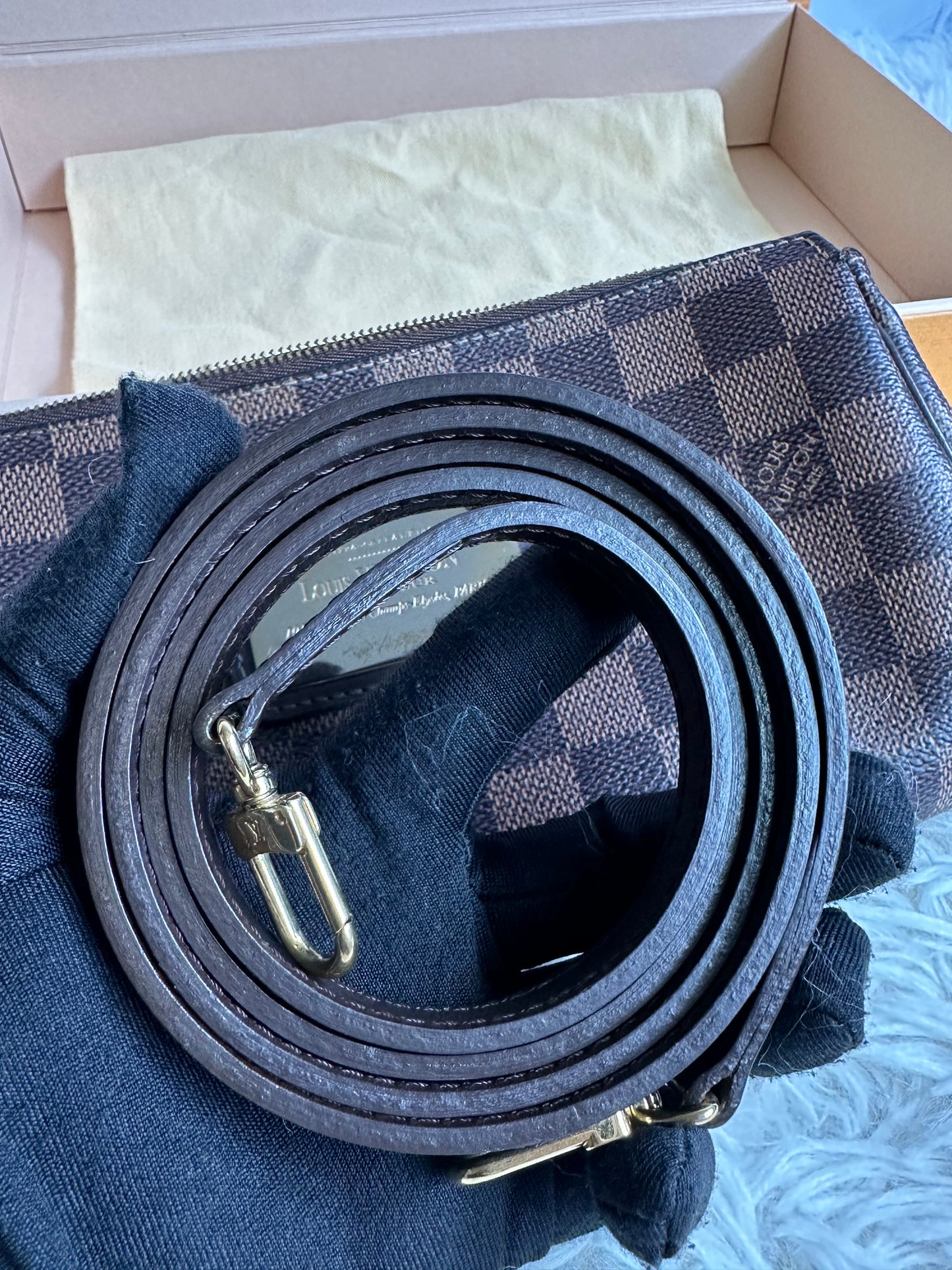 Louis Vuitton Damier Ebene Eva