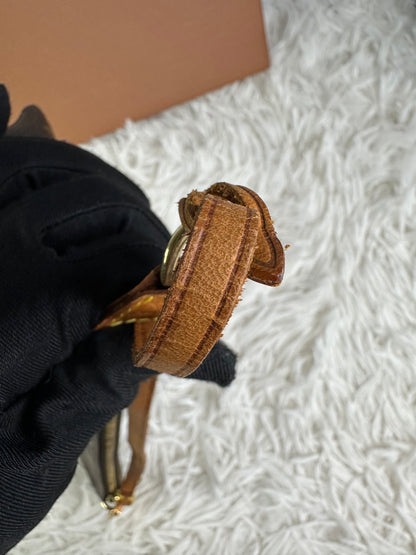 Louis Vuitton Monogram Pochette Accessoires