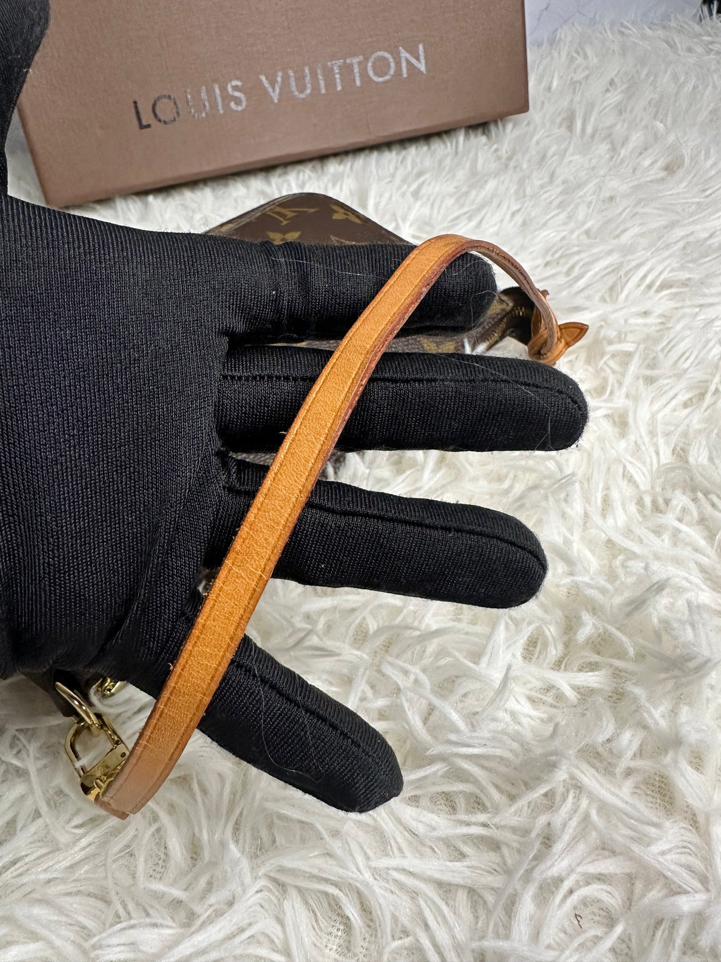 Louis Vuitton Pochette Accessoires