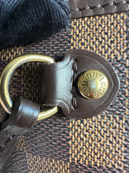 Louis Vuitton Damier Ebene Neverfull PM (NO POUCH)