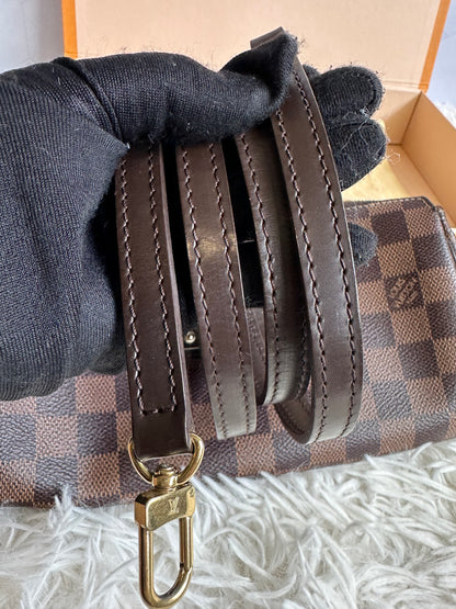 Louis Vuitton Damier Ebene Eva