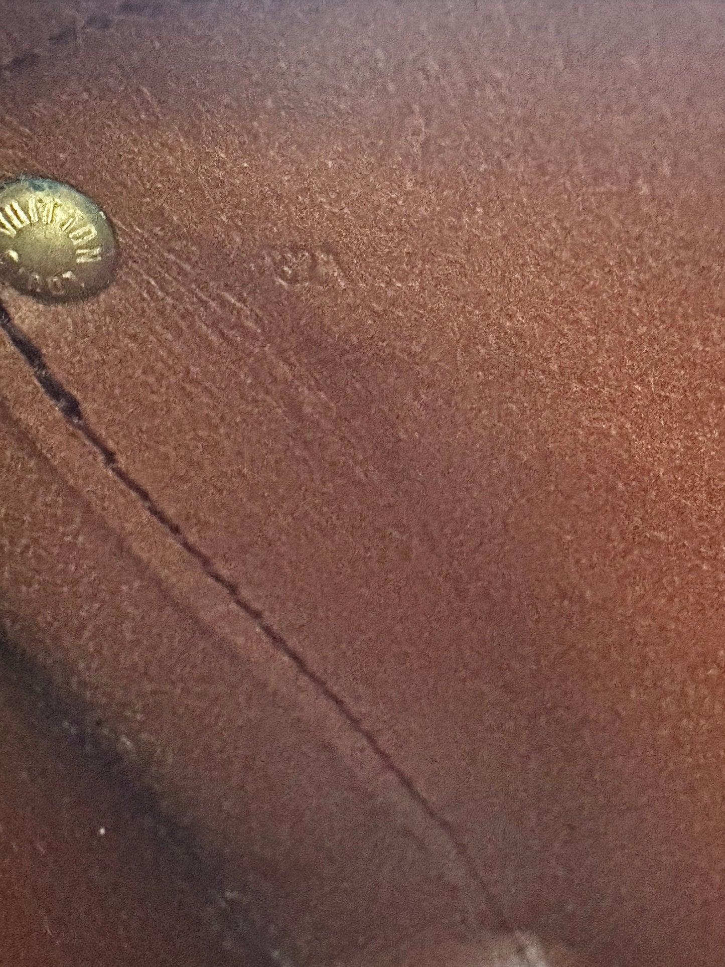 Louis Vuitton Vintage Monogram Cartouchière MM