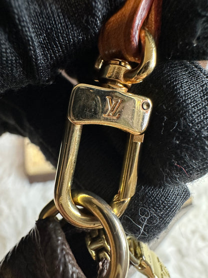 Louis Vuitton Monogram Pochette Accessoires